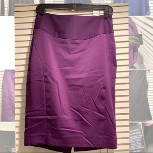 The Limited High Waisted Pencil Skirt